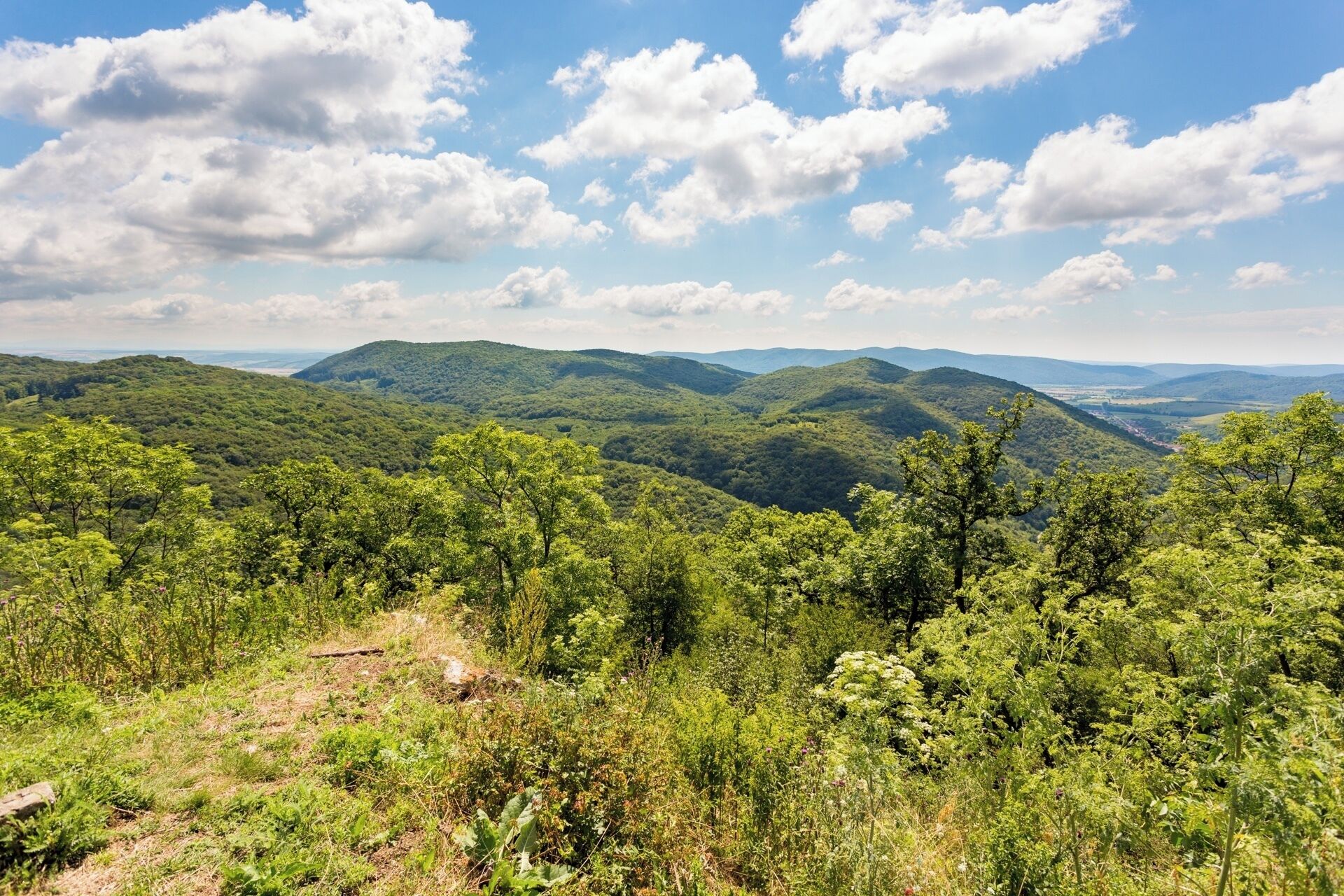 #Mountains

The eastern view from the ruins of Castle Szádvár
