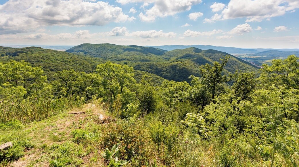 #Mountains
The eastern view from the ruins of Castle SzĂĄdvĂĄr