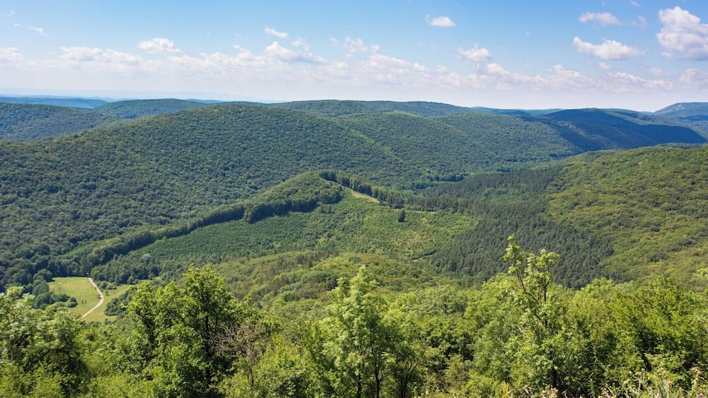 A mountainous landscape with dense forests and a winding road.