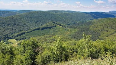 Paisagem montanhosa com florestas densas e uma estrada sinuosa.