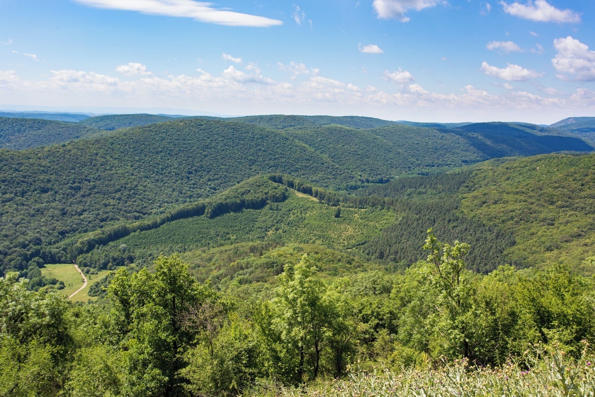 A mountainous landscape with dense forests and a winding road.