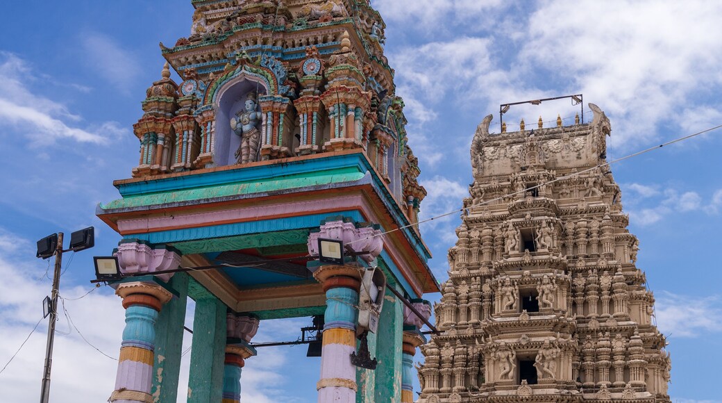 Hindu temple in Tirumakudal Narsipur, Karnataka. Gunja Shri Lakshmi Narasimhaswami Temple