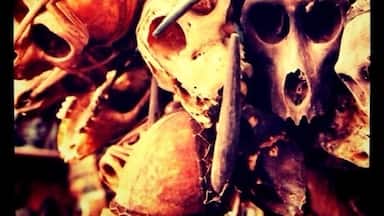 Naga hunters skull amulets, this ones where being sold in a market in Yagoon, scary but amazing craftsman-shift