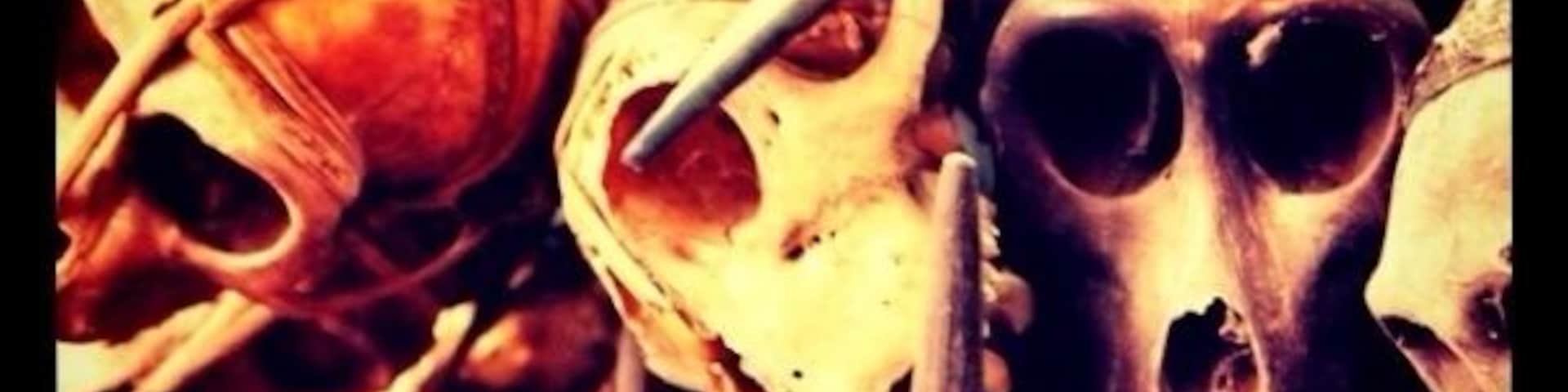 Naga hunters skull amulets, this ones where being sold in a market in Yagoon, scary but amazing craftsman-shift