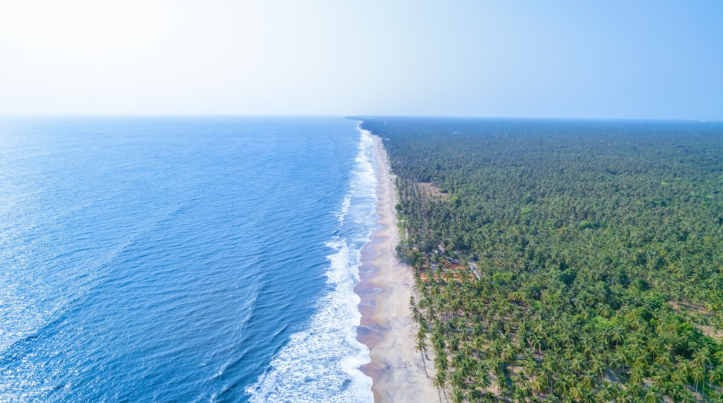 Luchtbeeld van een strand met een lange zandkust en dichtbegroeid tropisch bos.