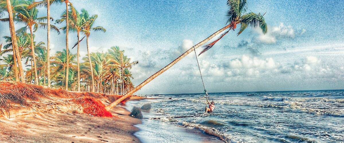 A beach with palm trees and ocean waves.