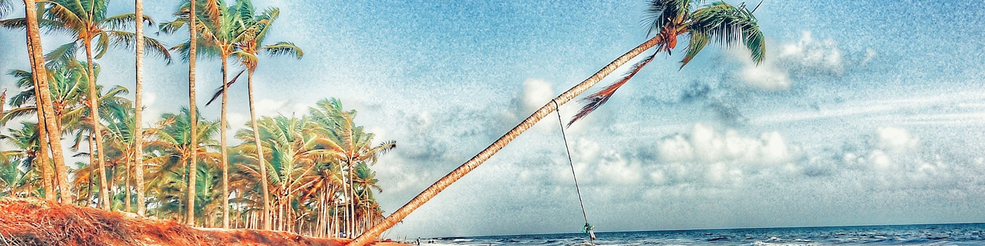 A beach with palm trees and ocean waves.