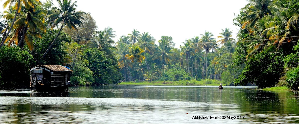 A river with a houseboat and dense palm trees.