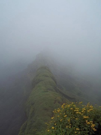 Rajgad is a fort near pune. This is one of the important fort of maratha ruler Chhatrapati Shivaji as he spent 30 years of his life on this fort. This is scenic place for treking in monsoon.