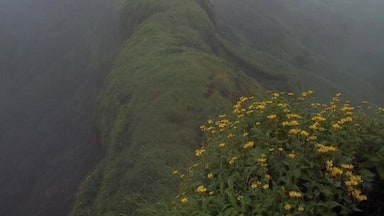 Rajgad is a fort near pune. This is one of the important fort of maratha ruler Chhatrapati Shivaji as he spent 30 years of his life on this fort. This is scenic place for treking in monsoon.