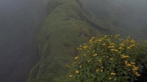 Rajgad is a fort near pune. This is one of the important fort of maratha ruler Chhatrapati Shivaji as he spent 30 years of his life on this fort. This is scenic place for treking in monsoon.