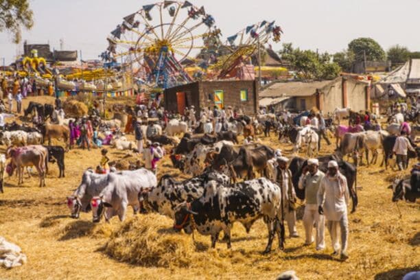 A crowded fair with a Ferris wheel, livestock, and people.