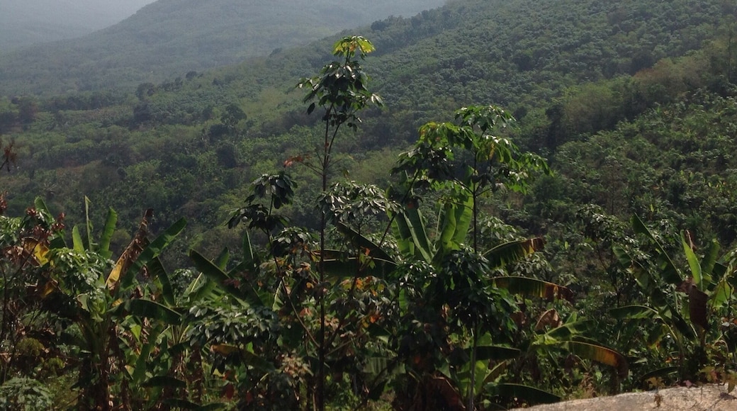 This is in the Indian State of Kerala.