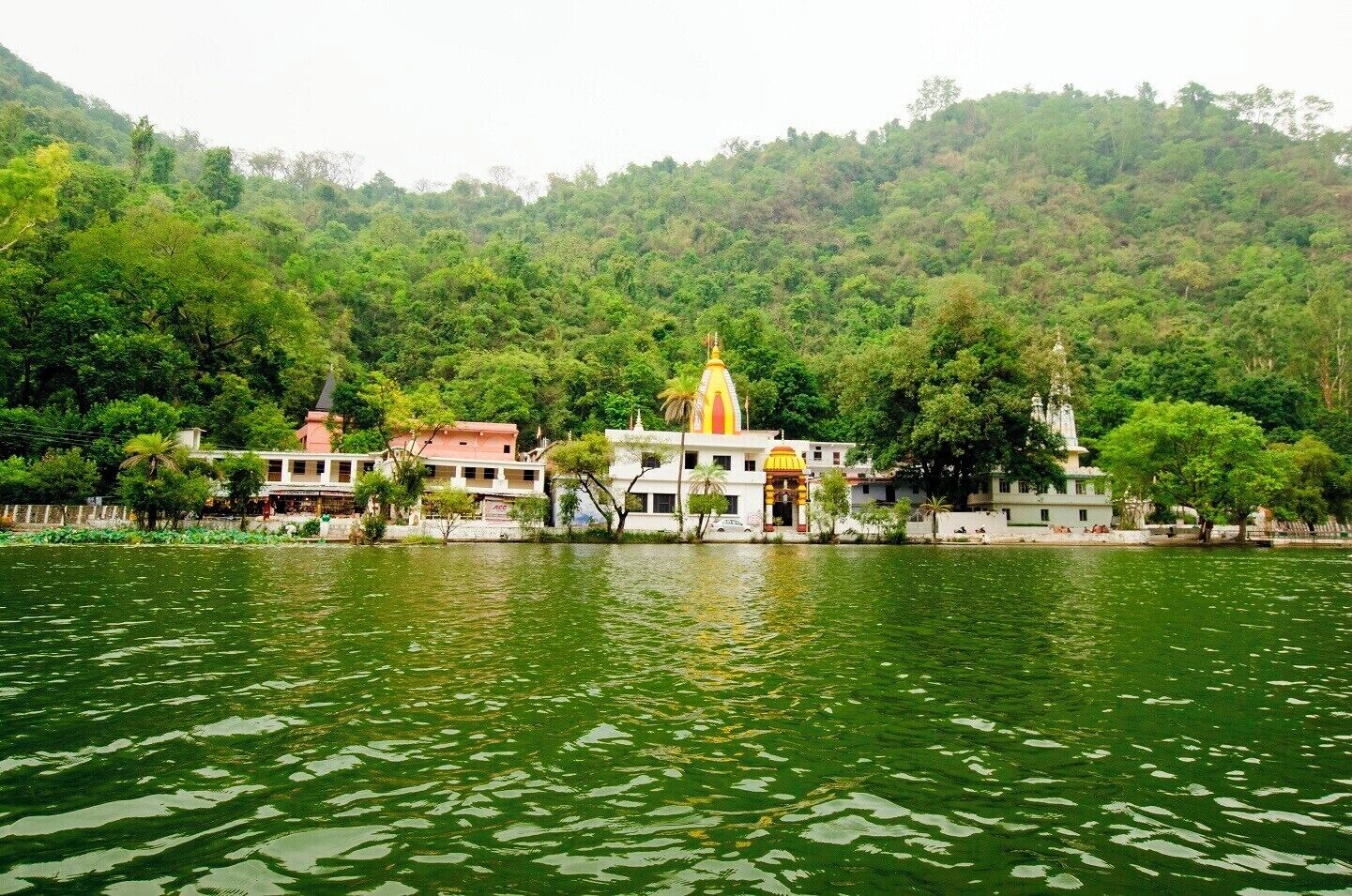 Boating in Green water sacred lake of RenukaJi is a soothing experience in foot hills of Himalayas. #LifeAtExpedia