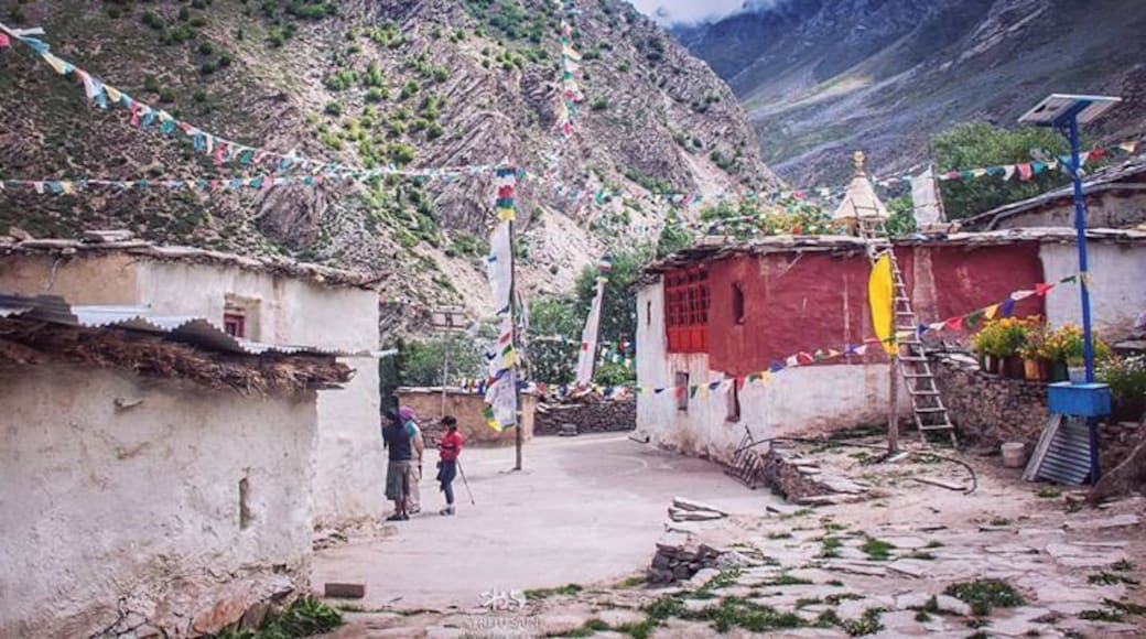 Charang Monastery, Kinnaur: One of the oldest in Himachal. From the Kinner Kailash Parikrama trek. More about the Monastery http://colorodyssey.wordpress.com/2017/02/26/charang-monastery-the-most-holy-temple-of-kinnaur/
#trekking #buddhism #travel