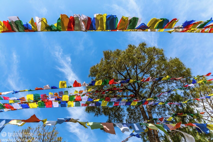 #Blue. Palpung Sherab Ling Monastic Seat is a school of Buddhist monkhood near Baijnath in Himachal Pradesh - a northern Indian hill state. Here, the prayer flags dot the clear blue skies - leading to a pleasing riot of colour.