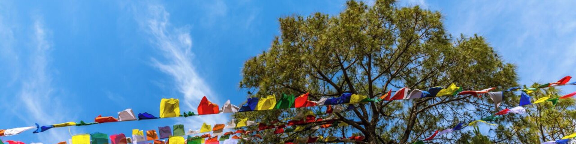 #Blue. Palpung Sherab Ling Monastic Seat is a school of Buddhist monkhood near Baijnath in Himachal Pradesh - a northern Indian hill state. Here, the prayer flags dot the clear blue skies - leading to a pleasing riot of colour.