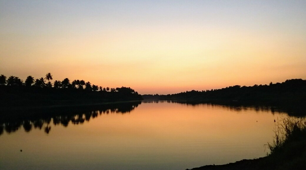 Sunset drama🌅
Who says rural India has not much to offer? I would give it all to be a place as Serene and picturesque like this💚