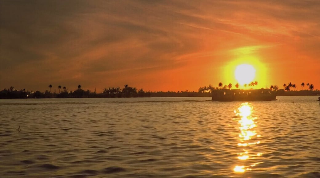 The place where we can see the perfect sunset.
India,kerala,Alappuzha.
#SweetSpot