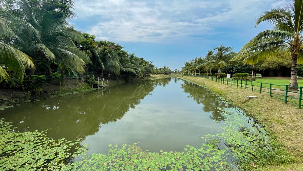 Inside view of Eco Park located at Kolkata, West Bengal, India
