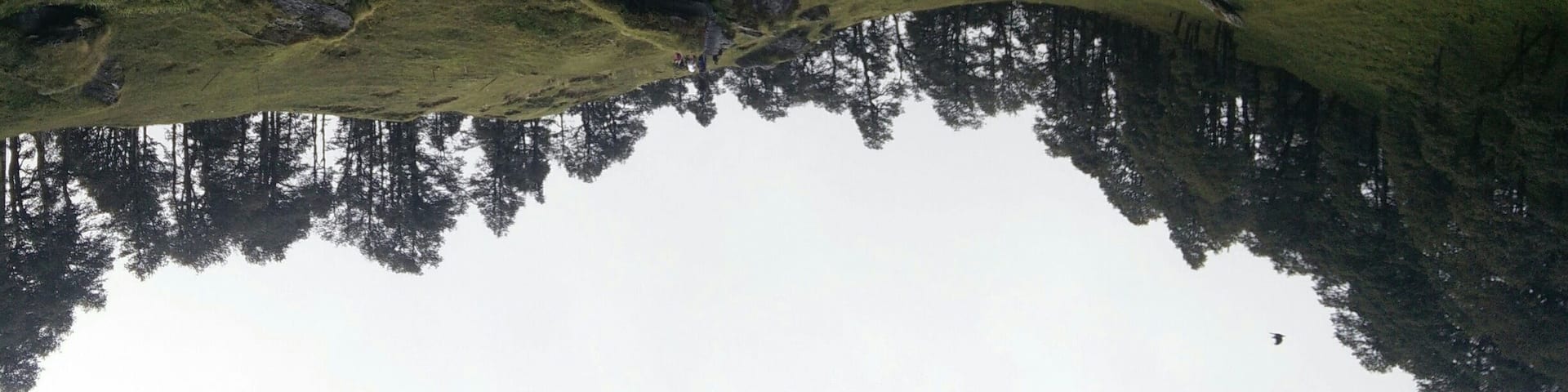 I'll see you on the flip side!
A 6km trek from Jalori Pass that led to this beautiful Sarolsar Lake in Himachal Pradesh!
#lakesofindia #upsidedown