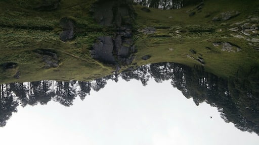 I'll see you on the flip side!
A 6km trek from Jalori Pass that led to this beautiful Sarolsar Lake in Himachal Pradesh!
#lakesofindia #upsidedown