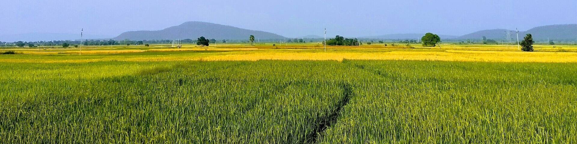 Interior #Telangana is beautiful and green.
#india #beautifulindia #traveltales