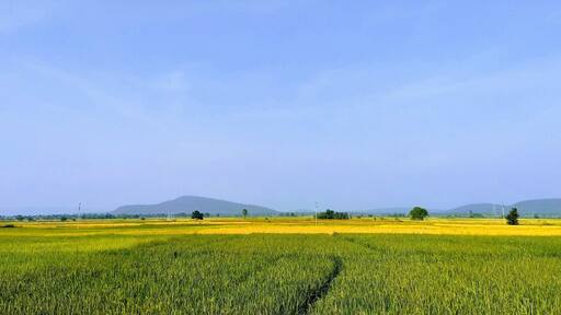 Interior #Telangana is beautiful and green.
#india #beautifulindia #traveltales