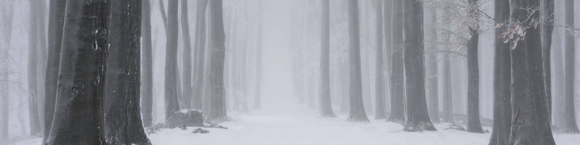 Just an hour drive from Budaoest, the captial of Hungary. Leading up to Csóványos, the highest peak in the Börzsöny mountains.
I took it during a snow storm in January 2019
#BvS100k