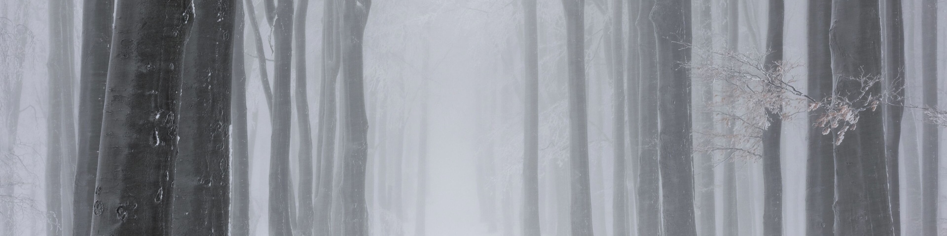 Just an hour drive from Budaoest, the captial of Hungary. Leading up to Csóványos, the highest peak in the Börzsöny mountains.
I took it during a snow storm in January 2019
#BvS100k