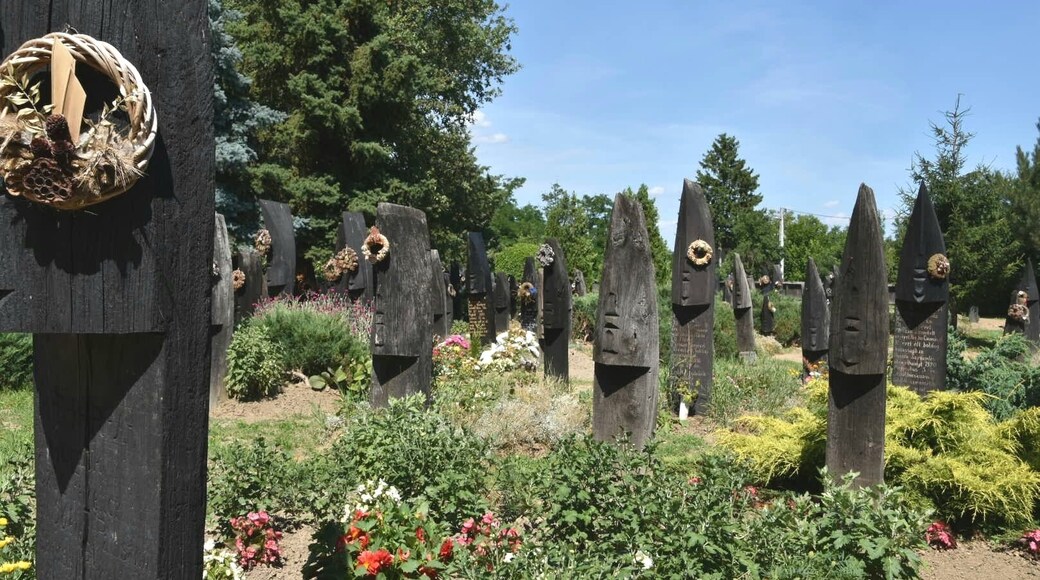 The unique cemetery of Szatmárcseke with over 600 boat-shaped wooden headstones. It's a functioning cemetery with several recent graves.