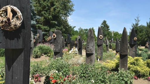 The unique cemetery of Szatmárcseke with over 600 boat-shaped wooden headstones. It's a functioning cemetery with several recent graves.