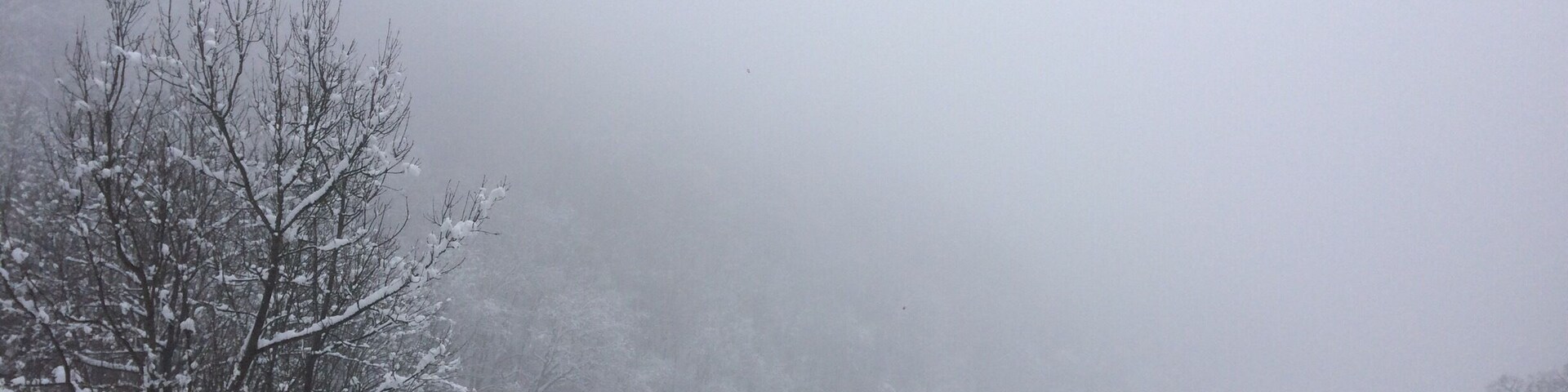 Frozen foggy lake ❄️