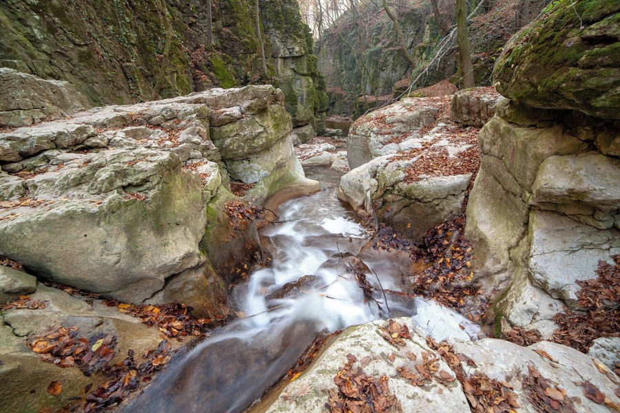 #Nature
Near Bakonynána, the Gaja brook carved in the cliff a 2 km long, deep and steep slope ravine which offers an amazing sight to the hikers. Between the limestone walls, the brook is pouring down in a waterfall known as the Roman Bath (Római-fürdő). The waterfall is a part of the National Blue Trail. The national trail is running through the Gaja Valley.
