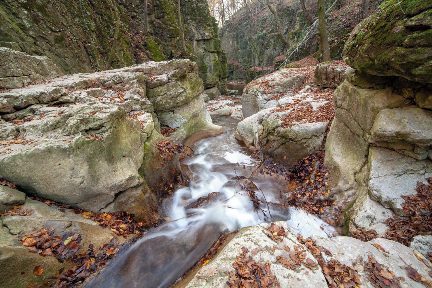 A rocky stream with water flowing through a narrow passage surrounded by moss-covered rocks and fallen leaves.