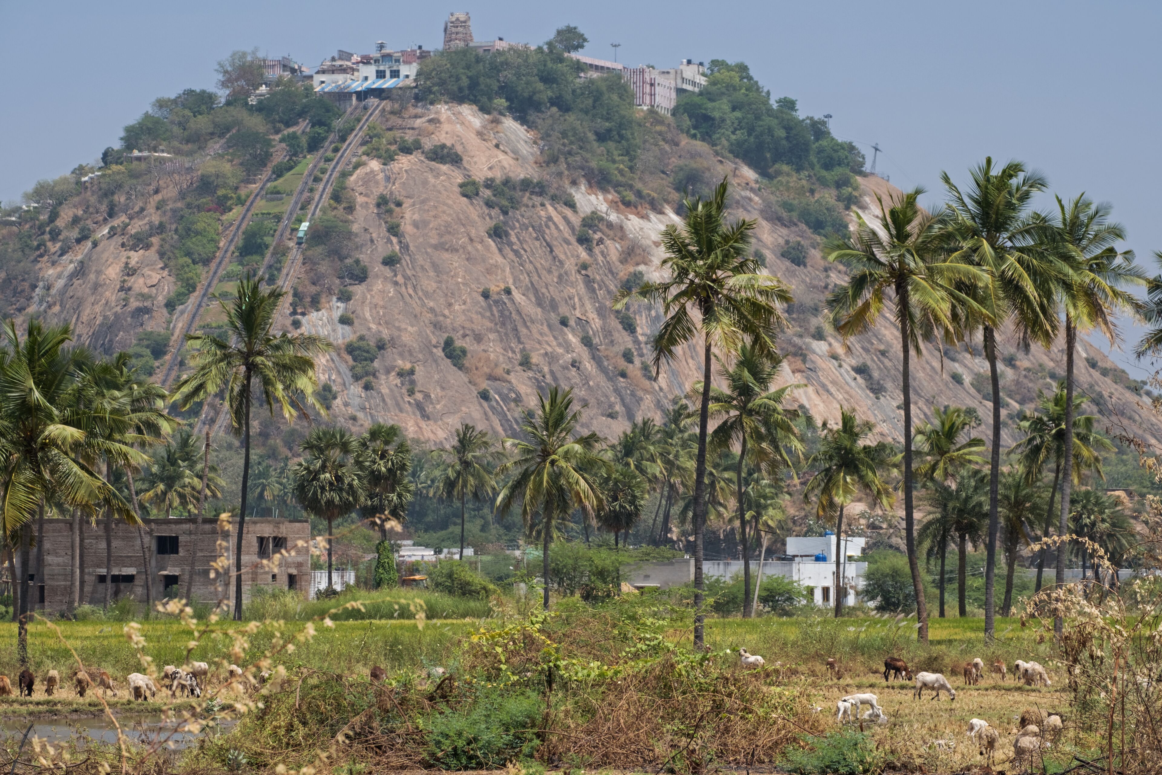 Arulmigu Dhandayuthapani Swamy-tempel