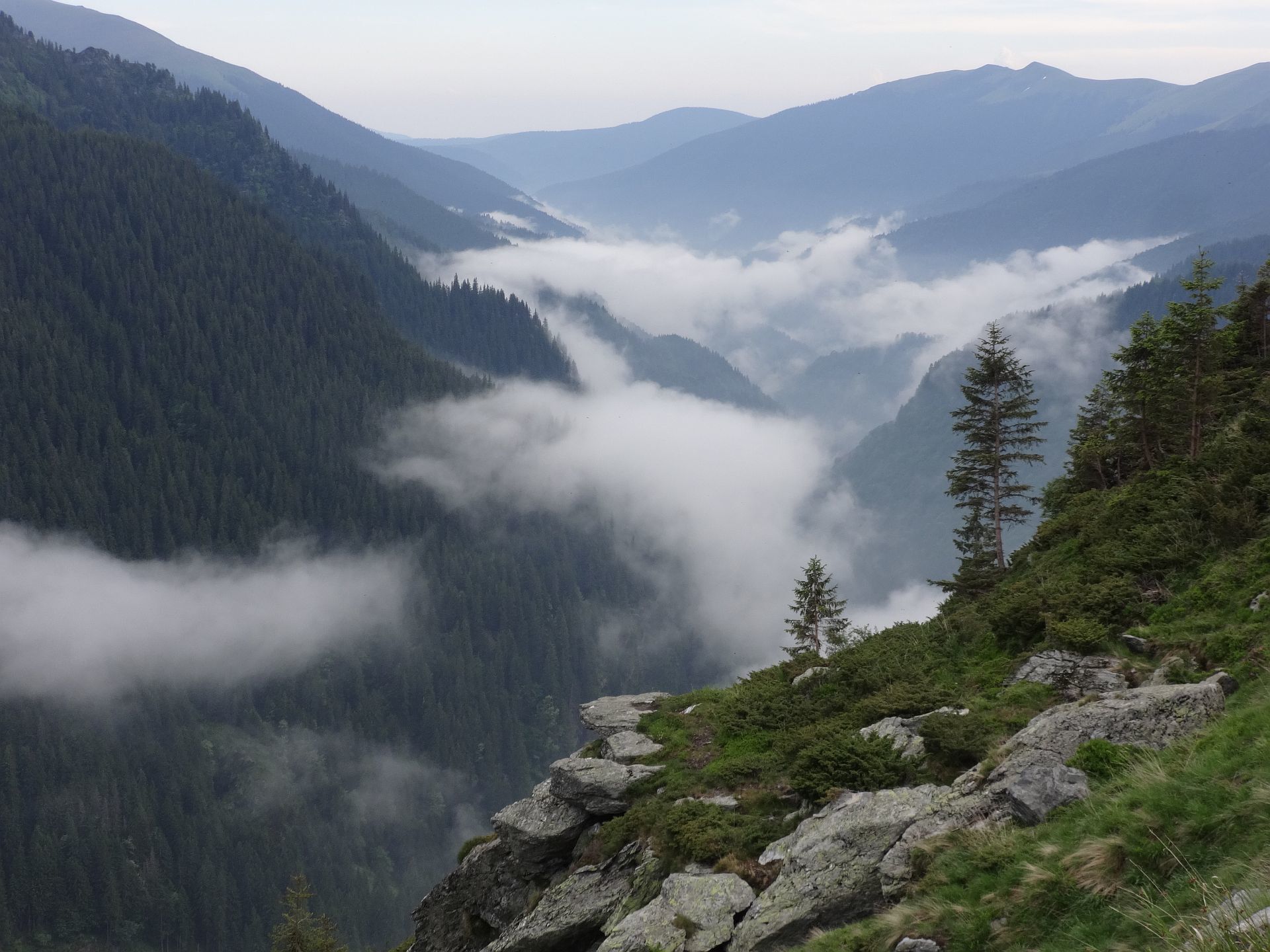 Un paisaje montañoso con bosques densos, afloramientos rocosos y un valle cubierto de niebla.