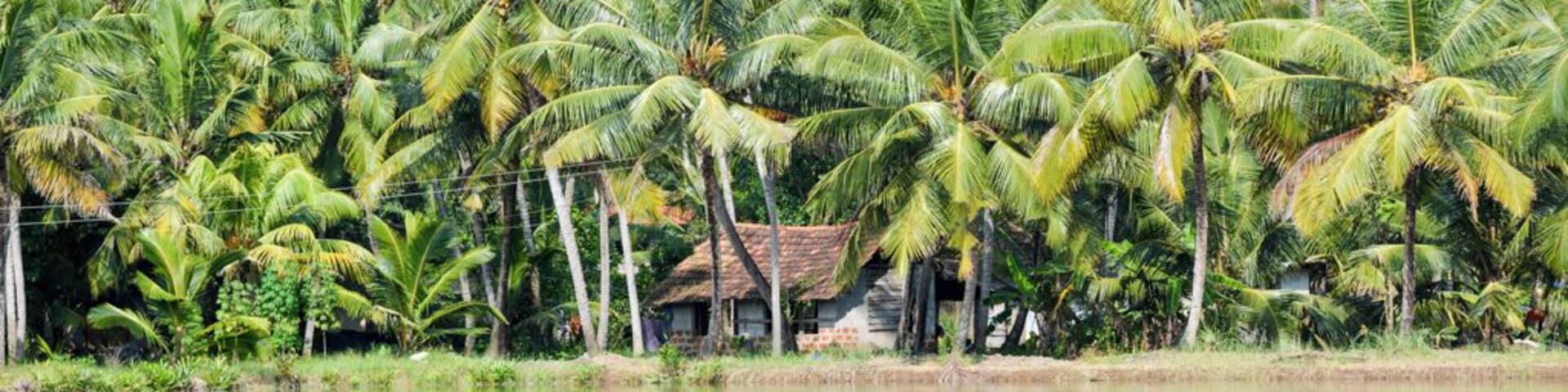 An unforgettable day cruising through the village backwaters of Kollam on a canoe. Canoe is always a better alternative than the houseboats.