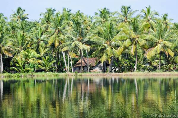 An unforgettable day cruising through the village backwaters of Kollam on a canoe. Canoe is always a better alternative than the houseboats.