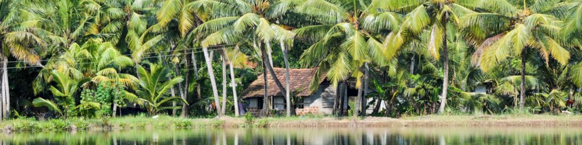 An unforgettable day cruising through the village backwaters of Kollam on a canoe. Canoe is always a better alternative than the houseboats.