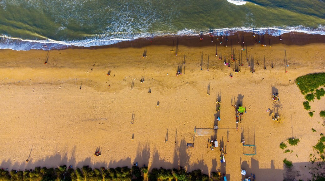 Aerial Photography Drone photography of Chennai and the suburbs in Tamil Nadu India; River bed landscape images of villages; Beach aerial view