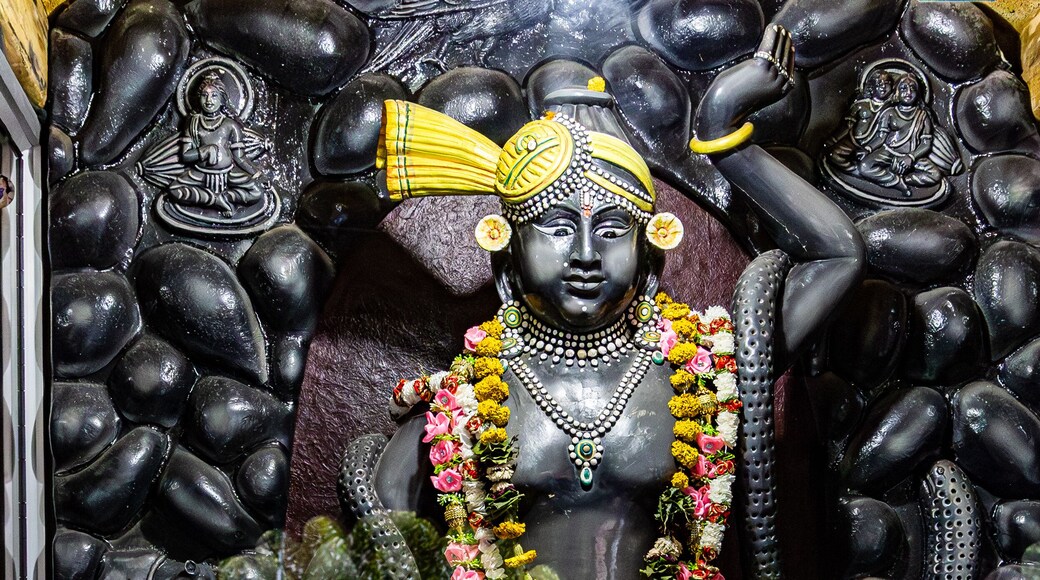 hindu god shrinathji the little krishna statue from flat angle