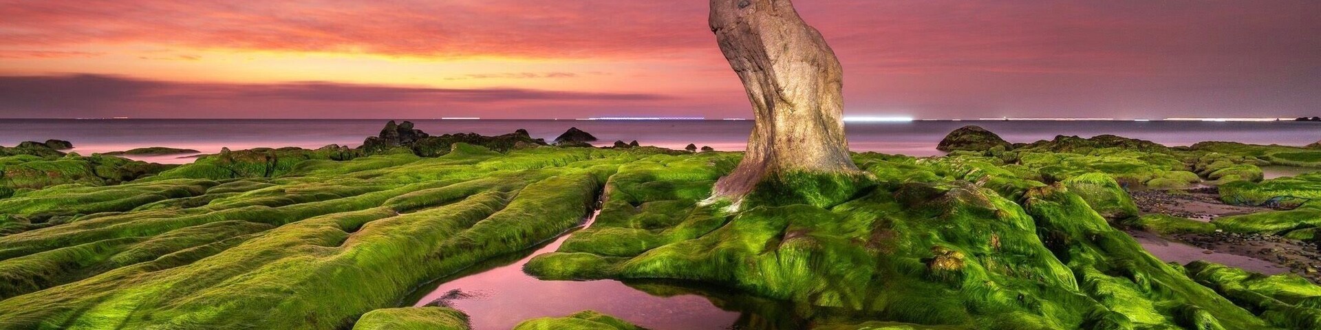 Vinh hy bay sunrise, between February and late March, This is the season for seaweeds, for the best picture try 4am and high coming tide.