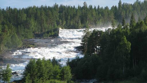 Storforsens nature reserve