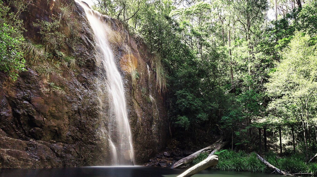 This was a beautiful little swimming hole in summer. Watch out for the crayfish!
