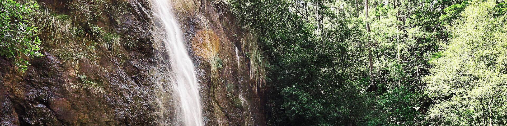 This was a beautiful little swimming hole in summer. Watch out for the crayfish!
