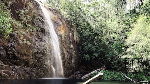 This was a beautiful little swimming hole in summer. Watch out for the crayfish!