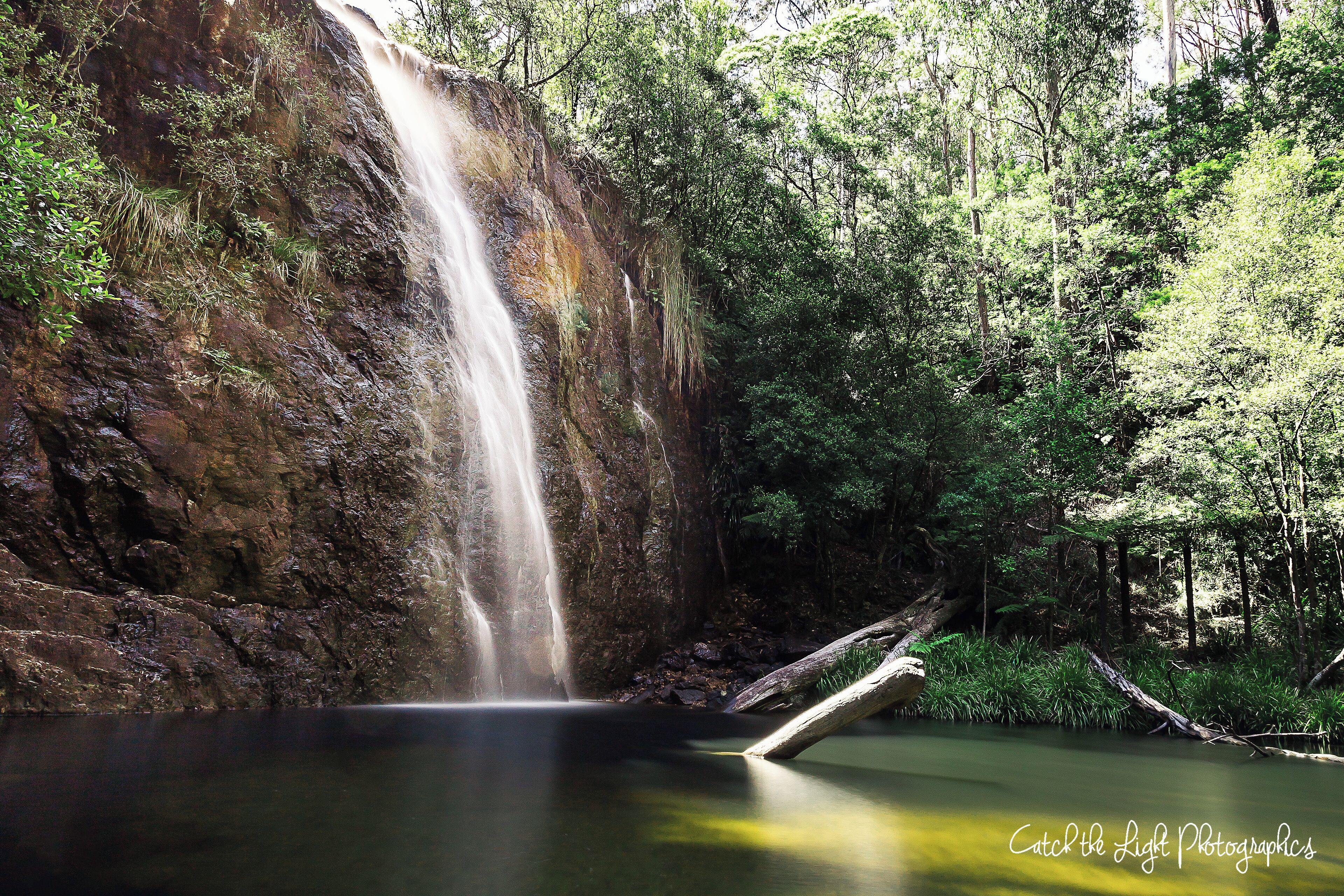 A waterfall cascading into a calm pool surrounded by lush greenery.