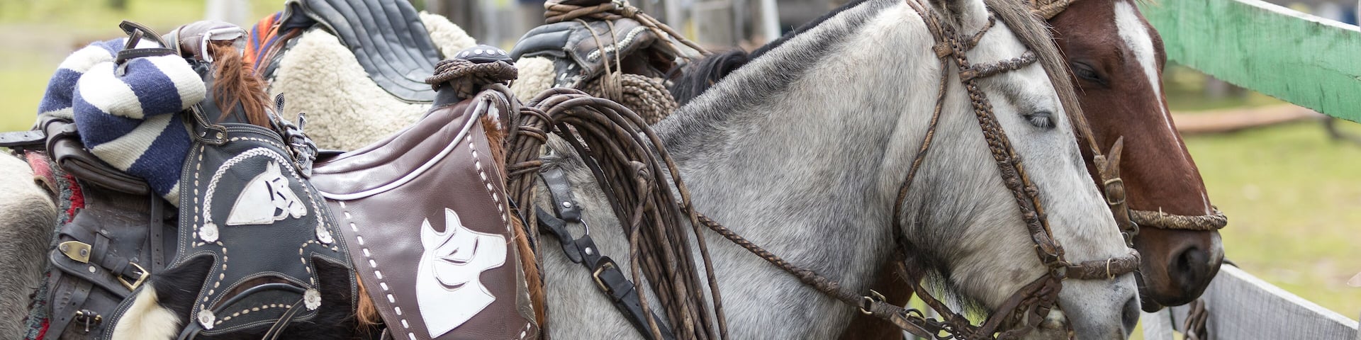 May 27, 2017 Sangolqui, Ecuador: closeup details of saddled up horses in the Andes area