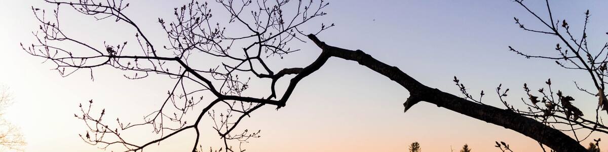 One of the coolest places ever. The road is incredibly sketchy (like really sketchy), and it's smaller than I expected, but amazing.